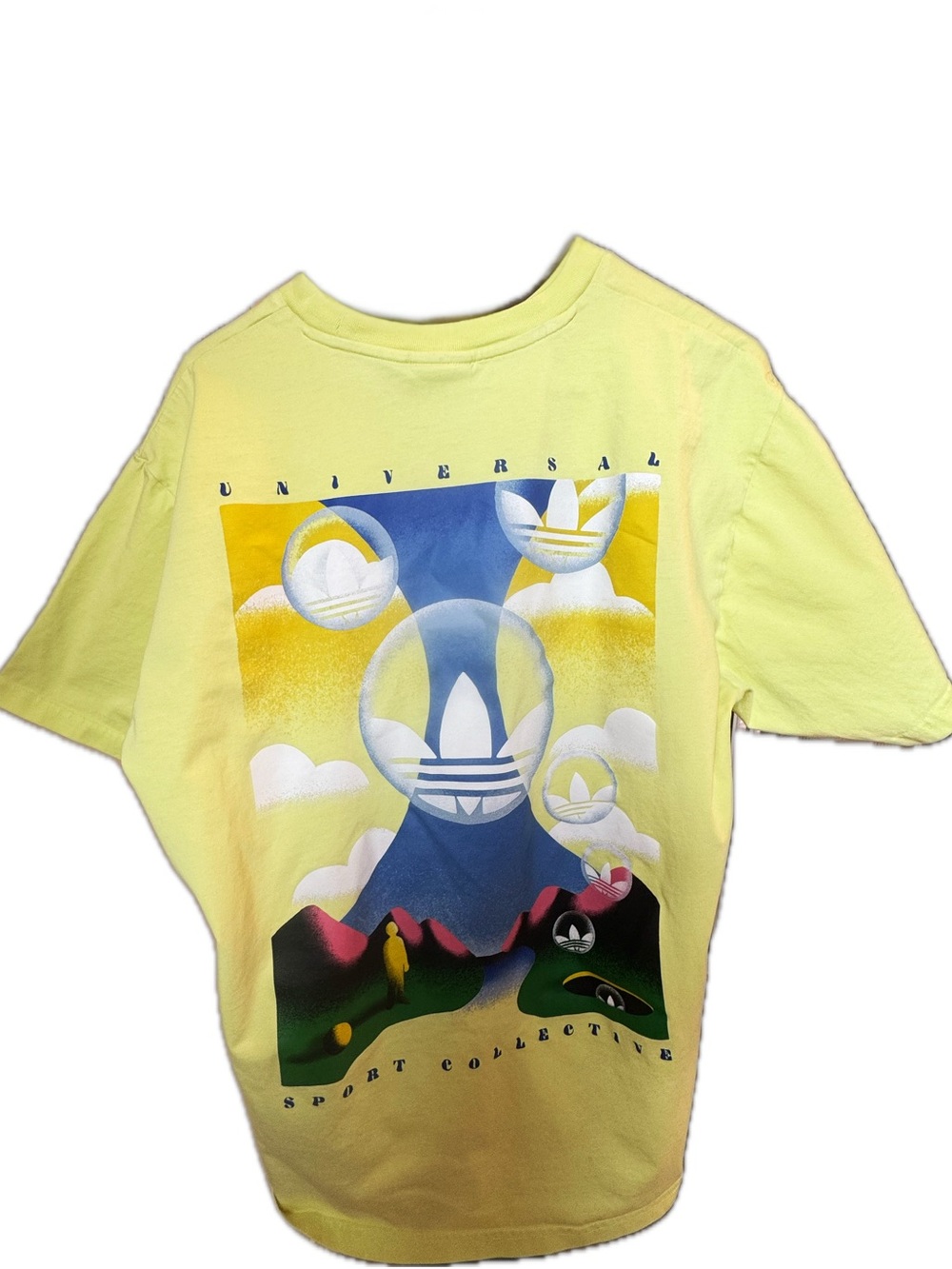 Adidas Originals SUMMER BOX LINE t-shirt H31310